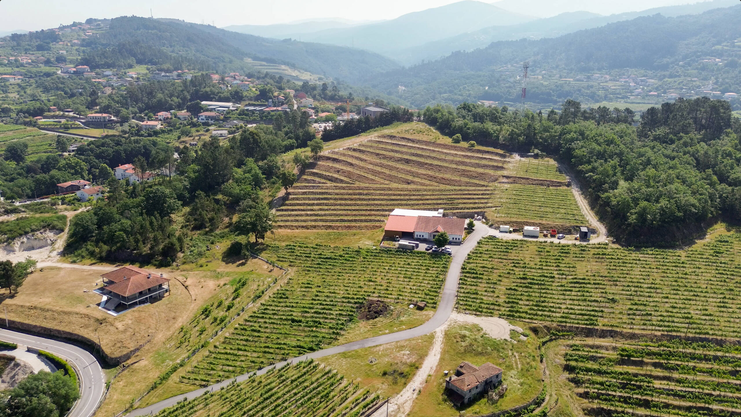 Vinhas e tradição da Vitimarante em Amarante